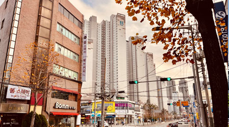 편리한교통